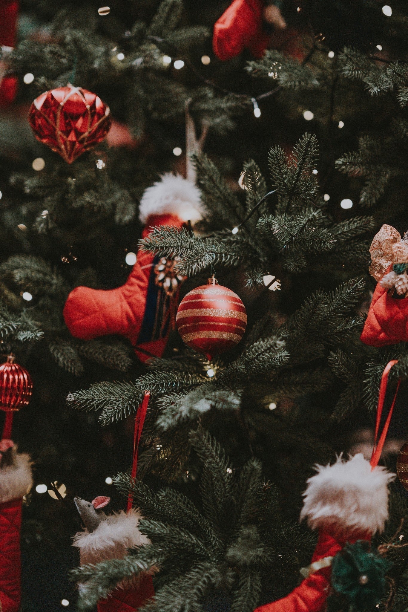 Je kerstboom impregneren voor een veilige kerst