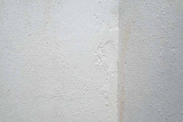Optrekkend vocht binnenmuur